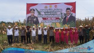 Polres Langkat Gelar Panen Raya Jagung Dukung Ketahanan Pangan Nasional